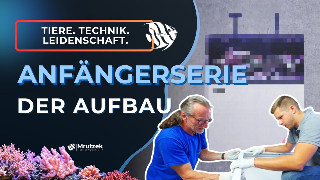 Teil 2: Der Aufbau (Unterschrank etc.) | Meerwasseraquarium für Anfänger