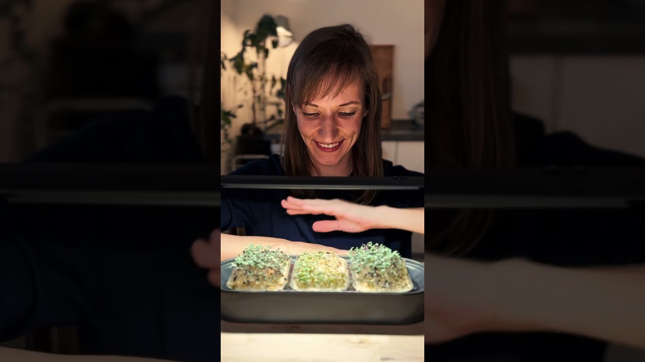 InGarden - Microgreens selber ziehen