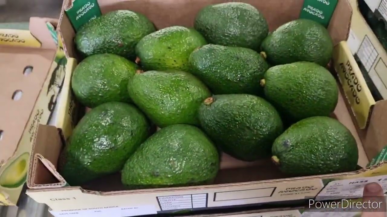 Avocado Packhouse in Kiepersol, Mpumalanga, South Africa