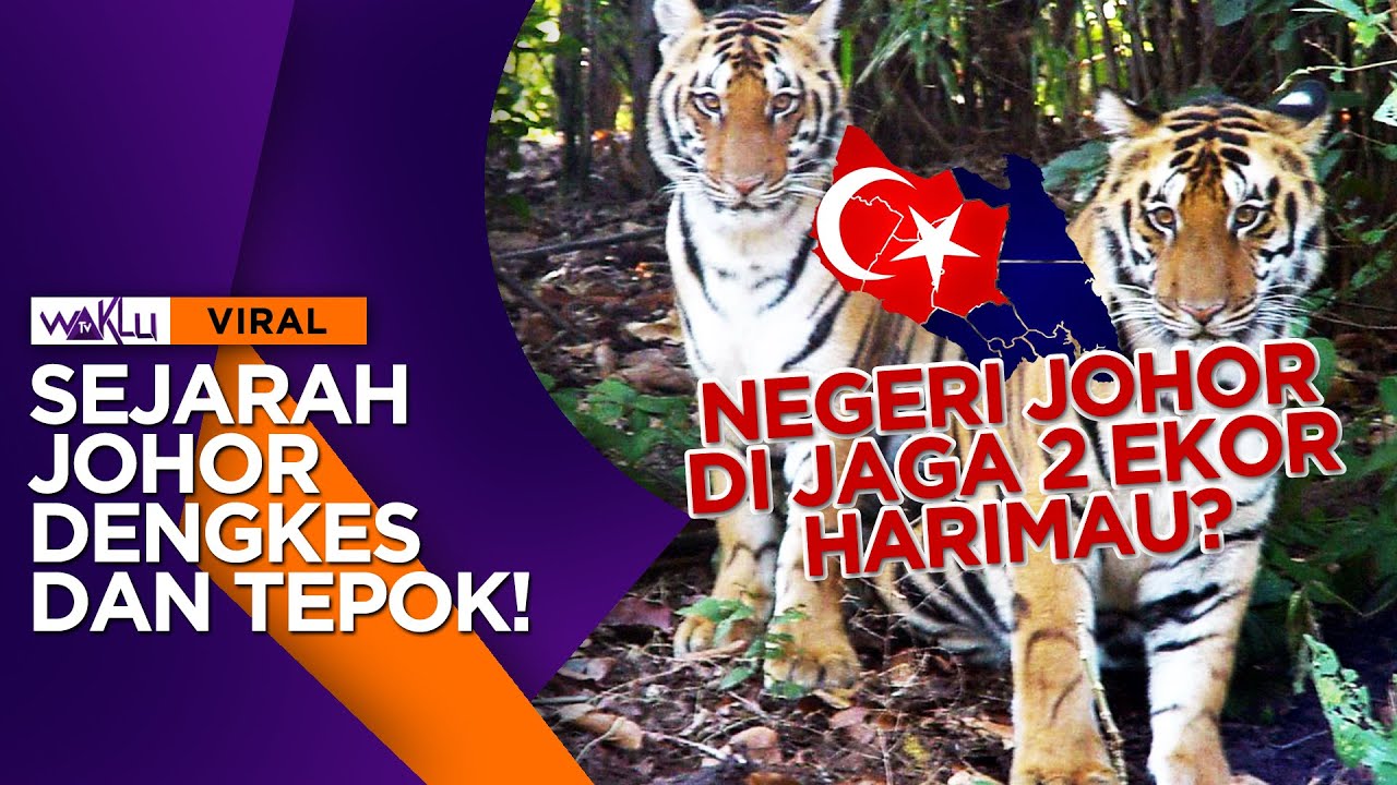 SEJARAH JOHOR DENGKES TEPOK
