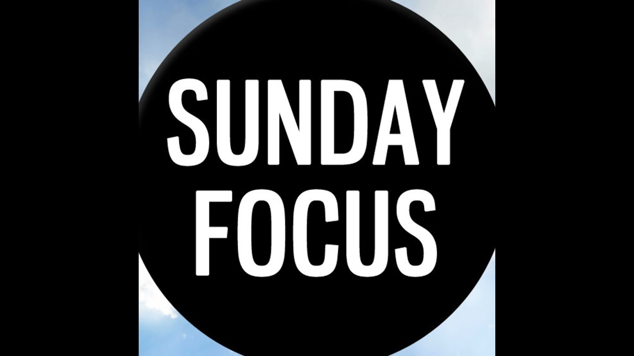 Helping Your Dog Be His or Her Best