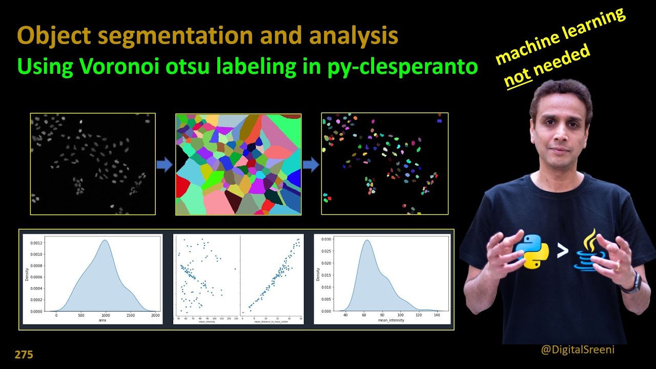 275 - Object segmentation and analysis using voronoi otsu labeling