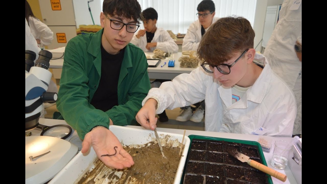 Open Day al Liceo Scientifico di Petilia Policastro, 17 gennaio 2026