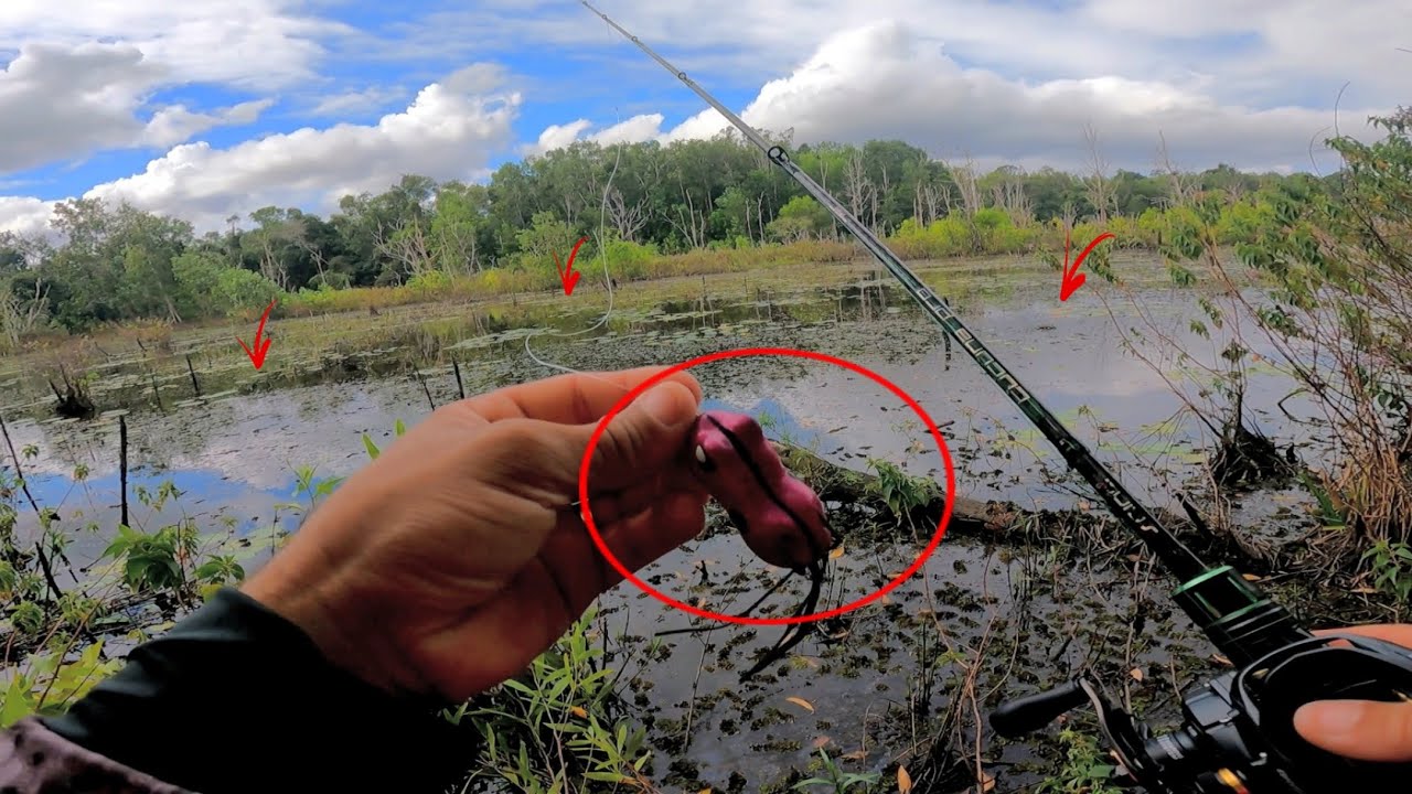 PESCARIA de traíras no Frog: Descobri um local secreto repleto de TRAÍRAS!