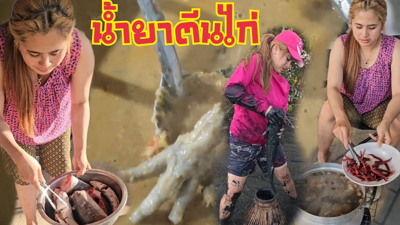 น้ำยาปลาช่อนฝีมือน้องมด