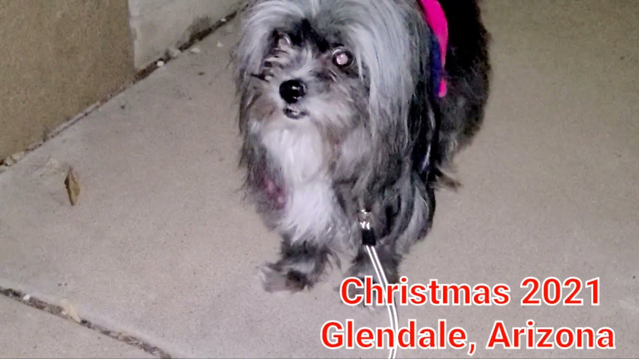Why is decorating for Christmas important? Walking w/my Dogs Dolly & Luna n d Neighborhood(Valentus)