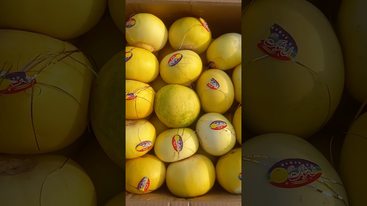Wholesale Rate #food #like #share #subscribe 