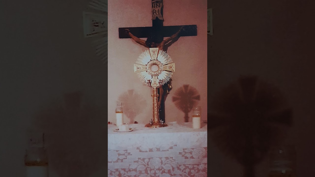 Dodicesima ora, il giro dell'anima nella Divina Volontà