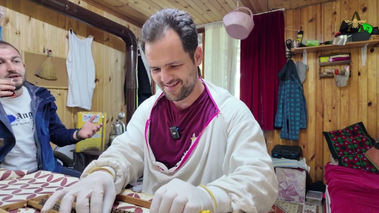 Arışım ile Arı Sütü Üretimi ve Bir Gün