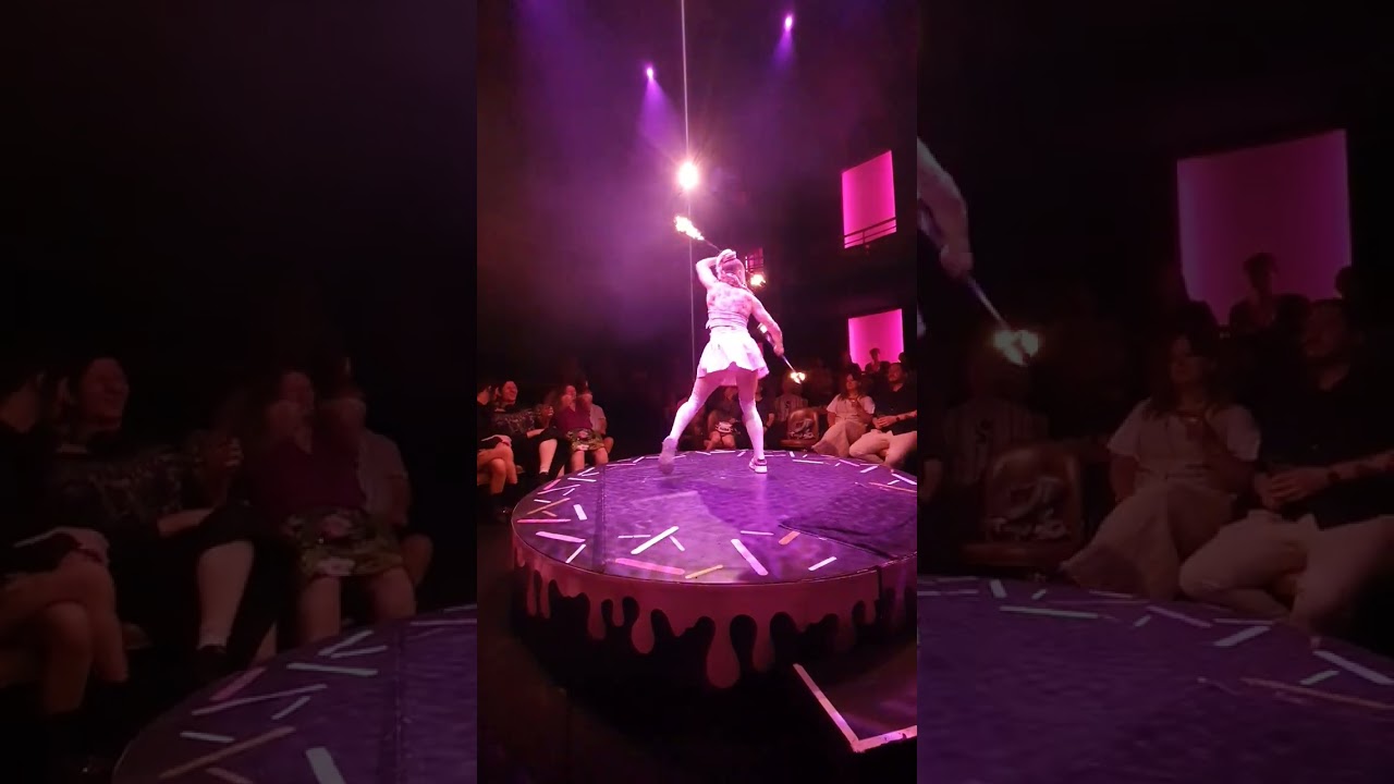 Sophie's 29th Birthday party clip 3