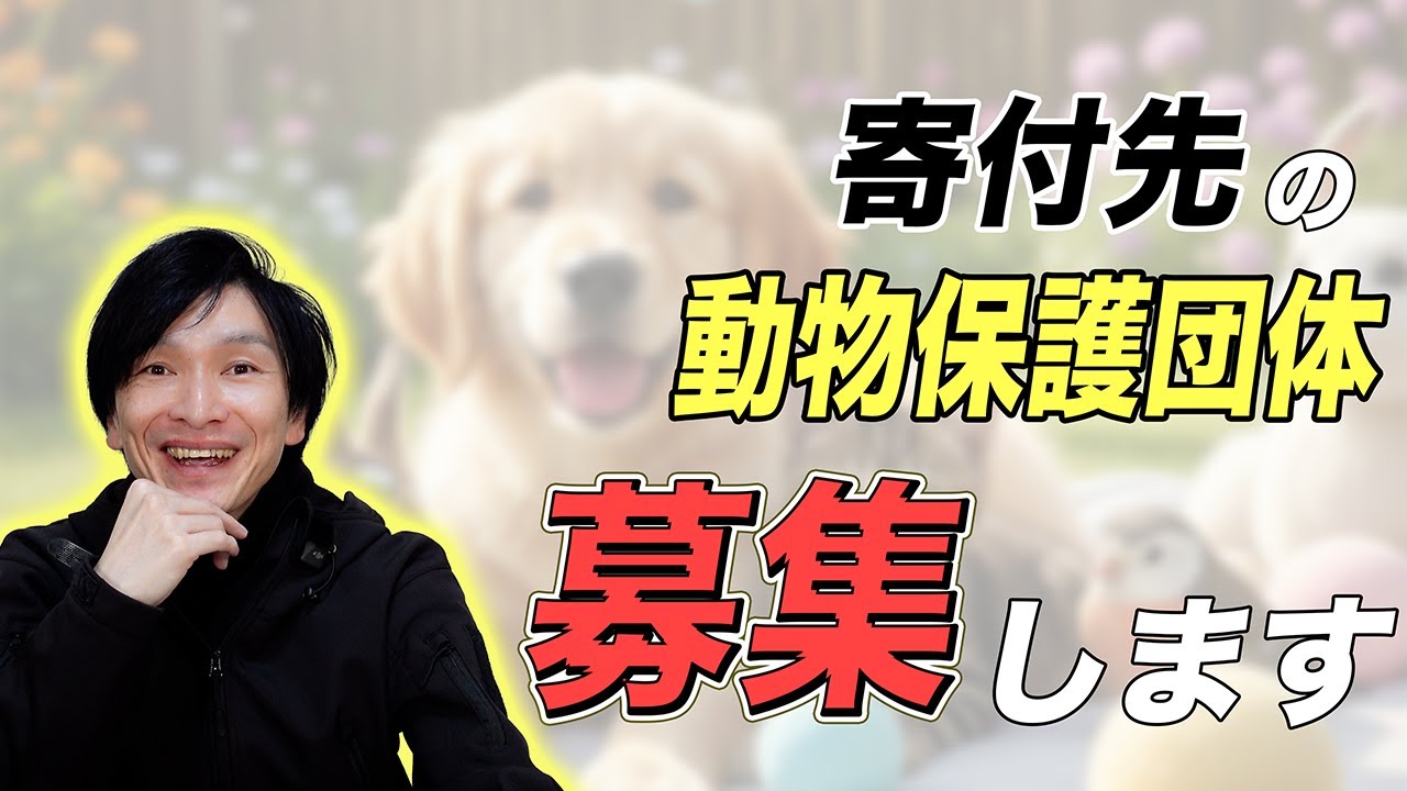 🐶【福岡限定】動物保護団体募集🐱 月200円×契約数で命をつなぐ【2026年3月31日まで】