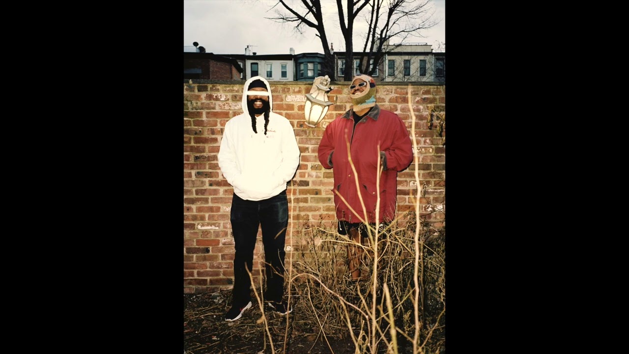 Armand Hammer - Falling out the Sky Acapella Ft Earl Sweatshirt (89 bpm)