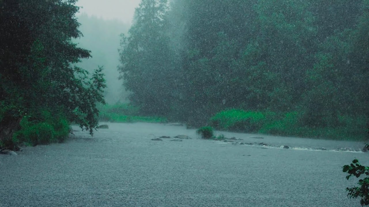 Listen to the rain on the forest path, relax, reduce anxiety, and sleep deeply🌧️🌬️