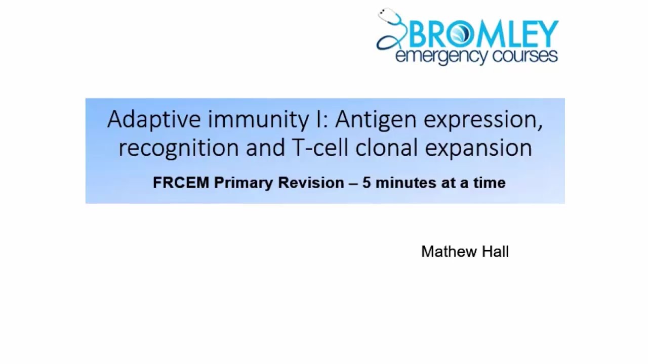 Adaptive Immunity 1: Antigen expression, recognition and T-cell clonal expansion