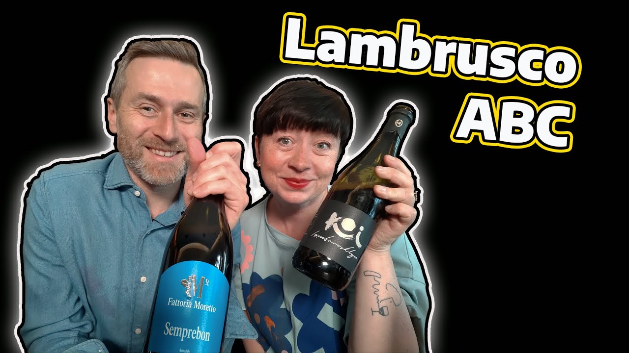 LAMBRUSCO - najbardziej niedocenione wino świata! | ABC Ale Wino