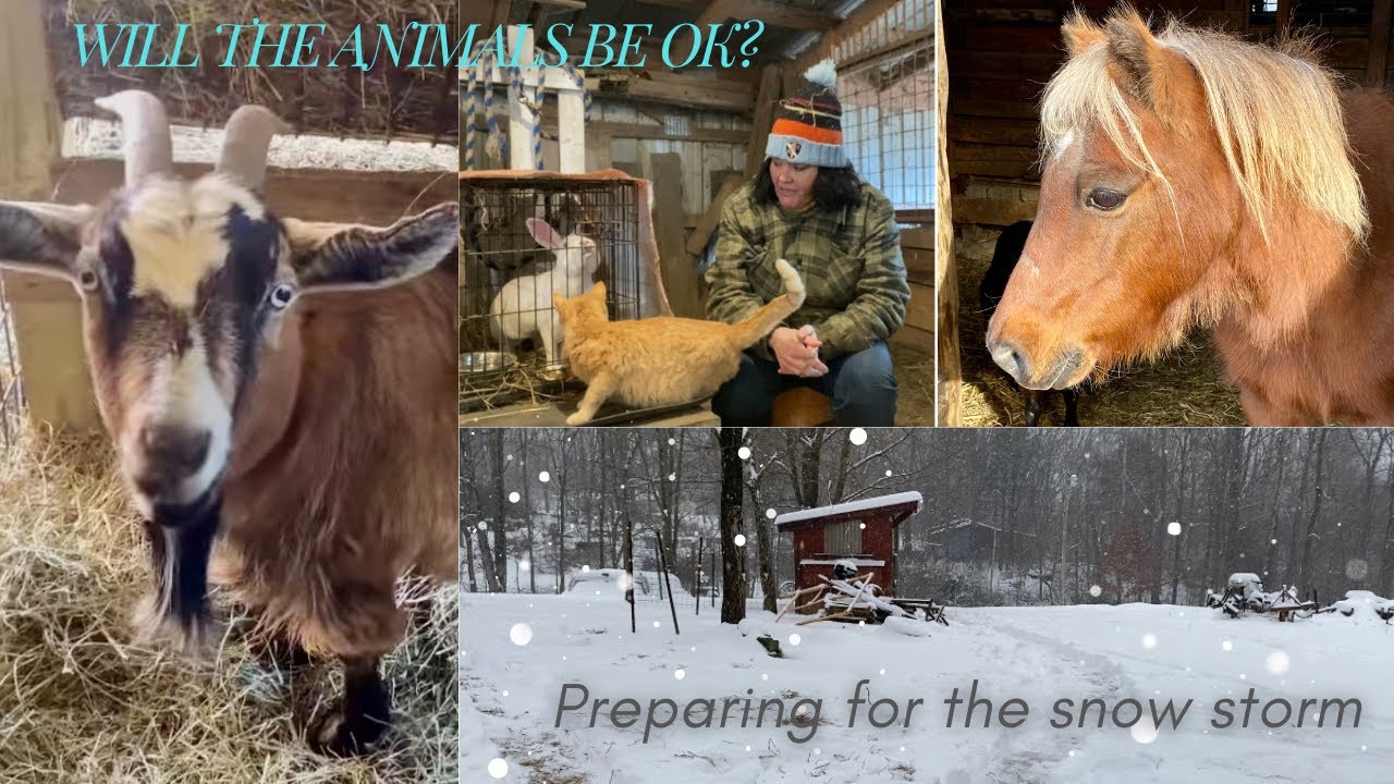 10-18 inches of snow || below zero temperatures coming