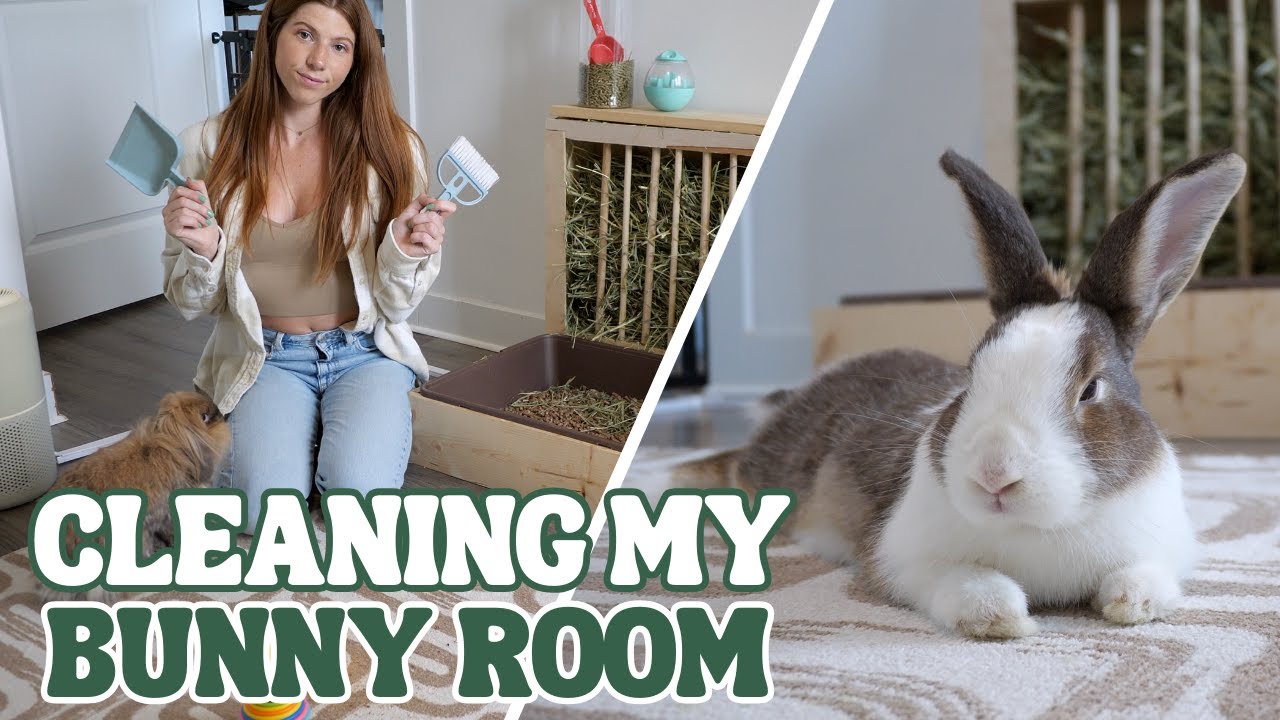 Clean the Bunny Room with Me! 🐰🧹