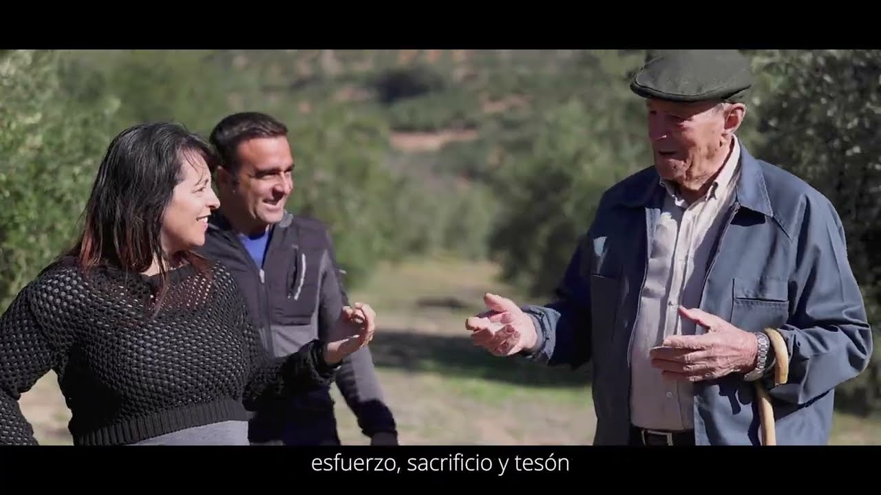 ¿Qué se necesita para crear el mejor aceite de oliva virgen extra del mundo?