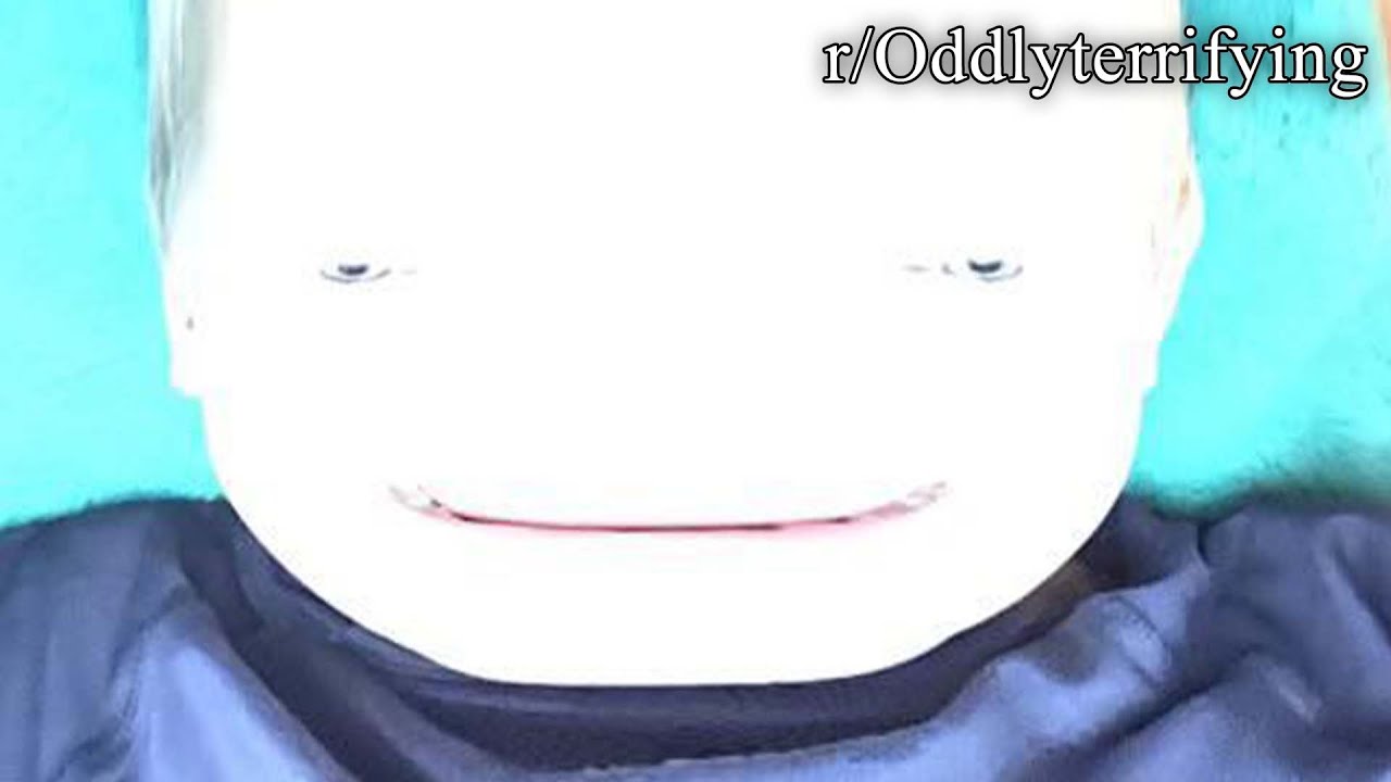 r/Oddlyterrifying | LEAVE ME ALONE