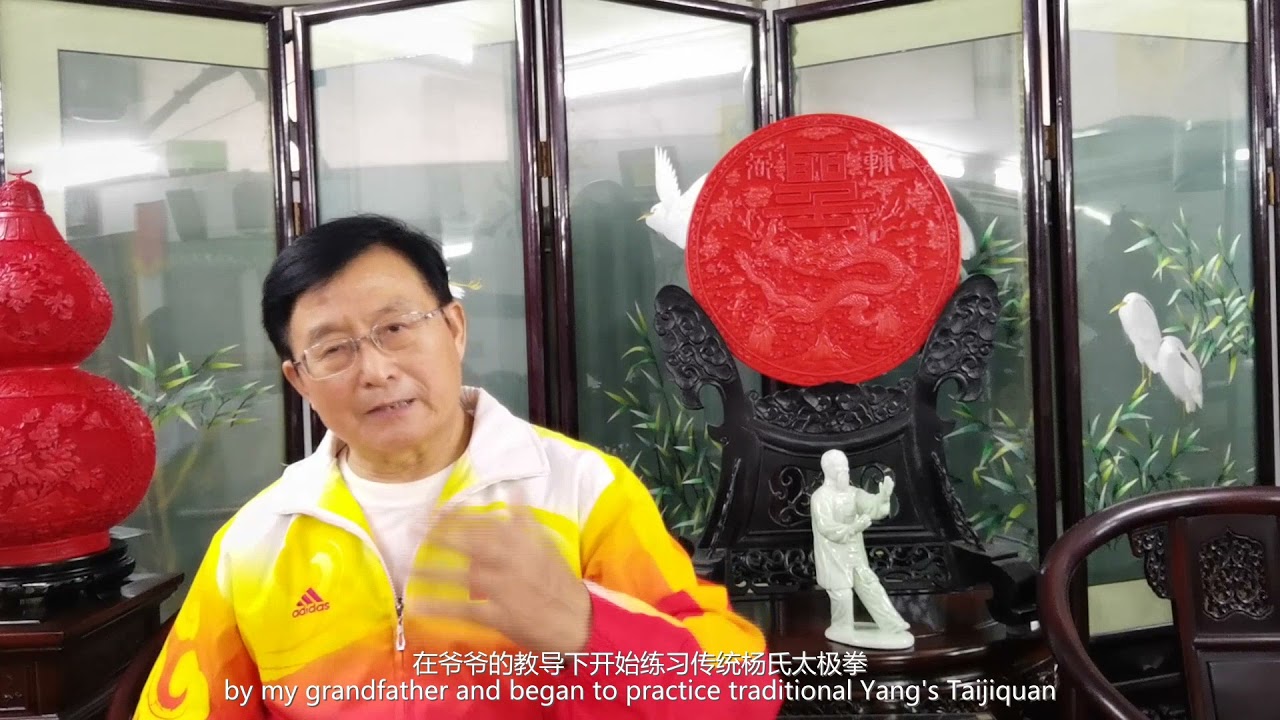 15. 太极介绍和展演 - 杨式太极拳 Yang Style Taiji Introduction and Master Demonstration