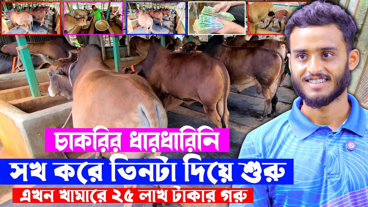 চাকরির ধার ধারিনি | সখ করে তিনটি গরু দিয়ে শুরু | এখন খামারে ২৫ লাখ টাকার গরু | Soha Agro, সোহা এগ্রো