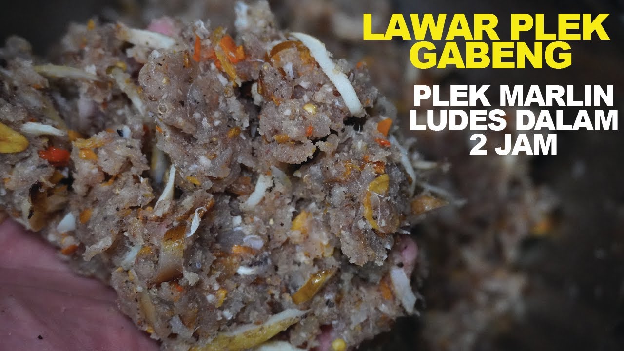 LAWAR PLEK LUDES DALAM 2 JAM - LAWAR PLEK GABENG BANJAR LAING