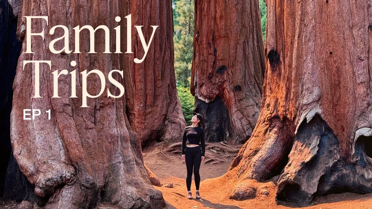 Family Travel Ep.1 | Malibu, Crystal Cove, Sequoia National Park