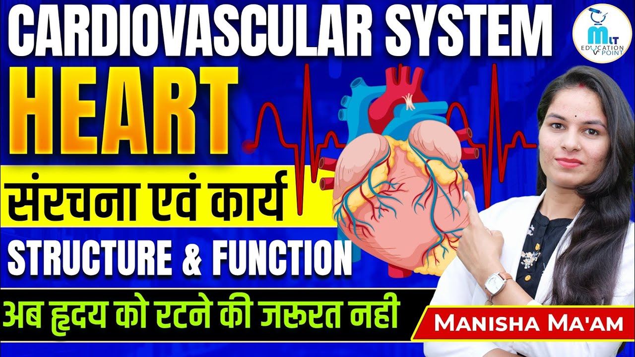 Cardiovascular system in hindi | Heart anatomy & physiology in hindi | Structure of heart