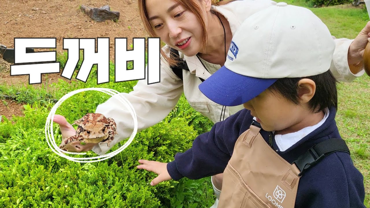두꺼비 나오는 비오는 주말