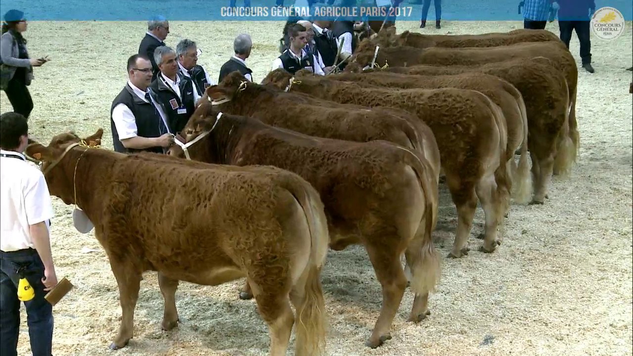 Replay - Grand Ring | Jeudi 2 Mars CONCOURS LIMOUSINE