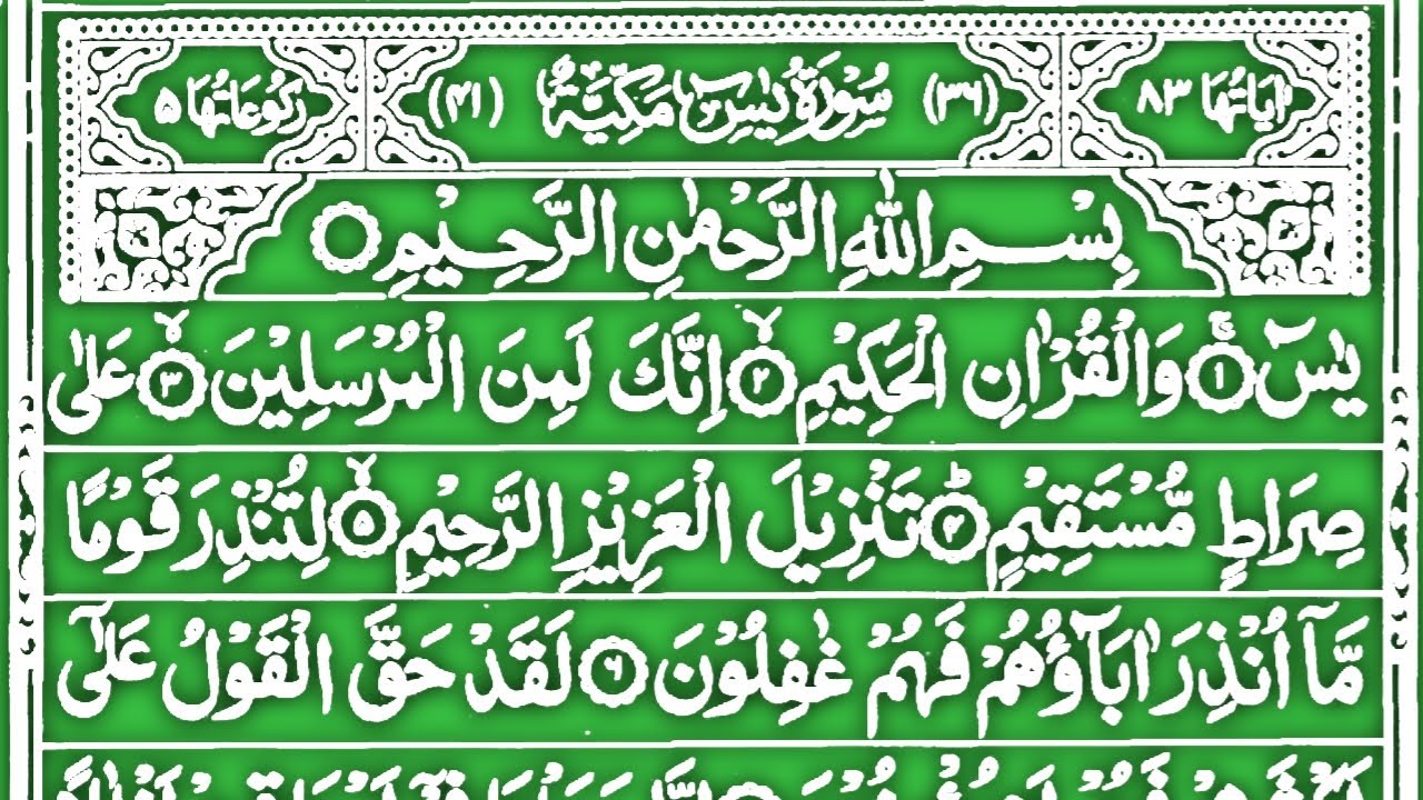 Surah Yaseen | Surah Ar Rahman | Episode 56 | Quran Tilawat | Quran Recitation | Full Arabic Text HD