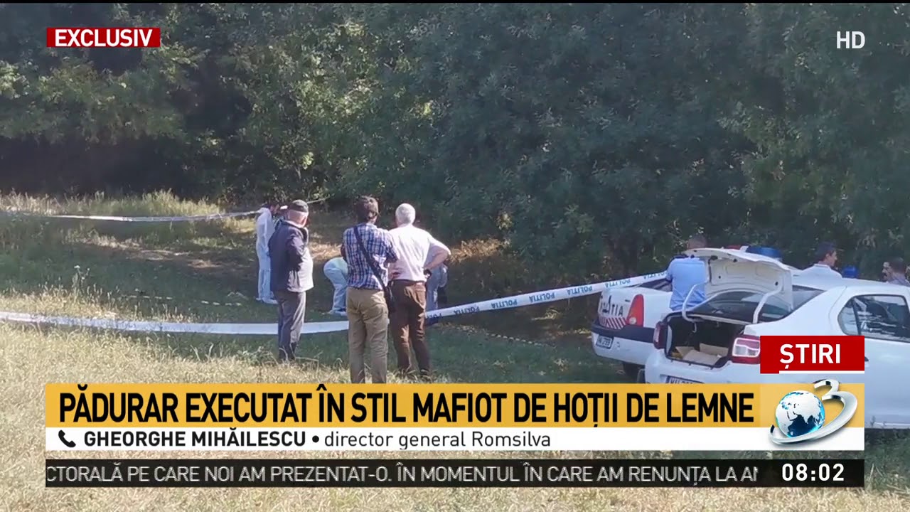 Pădurar executat în stil mafiot de hoții de lemne, în Maramureș. Bărbatul a fost împușcat î
