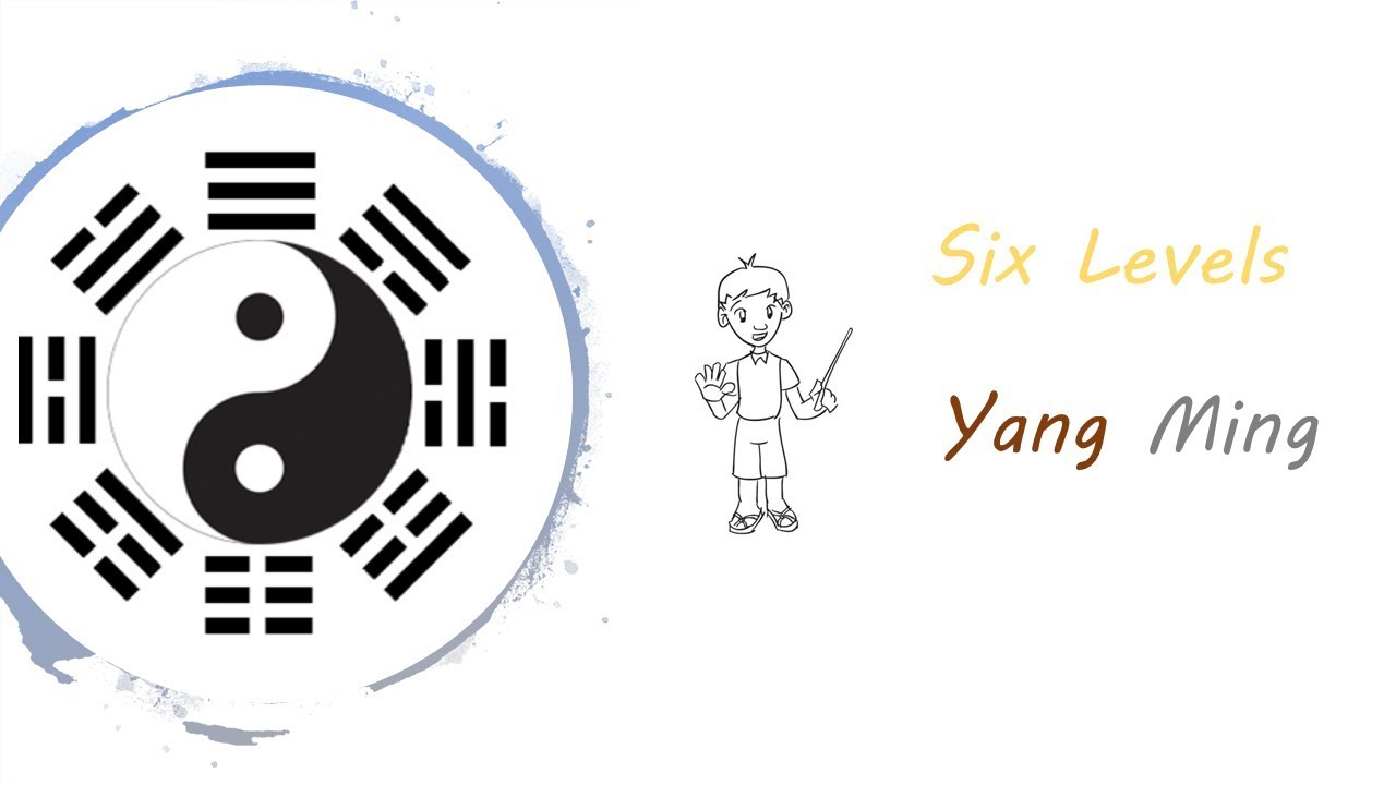 Channel Based Acupuncture - Six Levels - Yang Ming