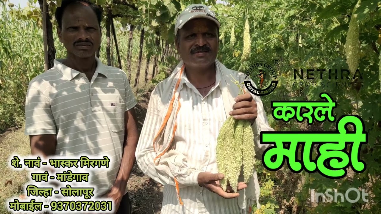 कारले नेत्रा माही, उत्पादनात दमदार नफ्यात शानदार!!