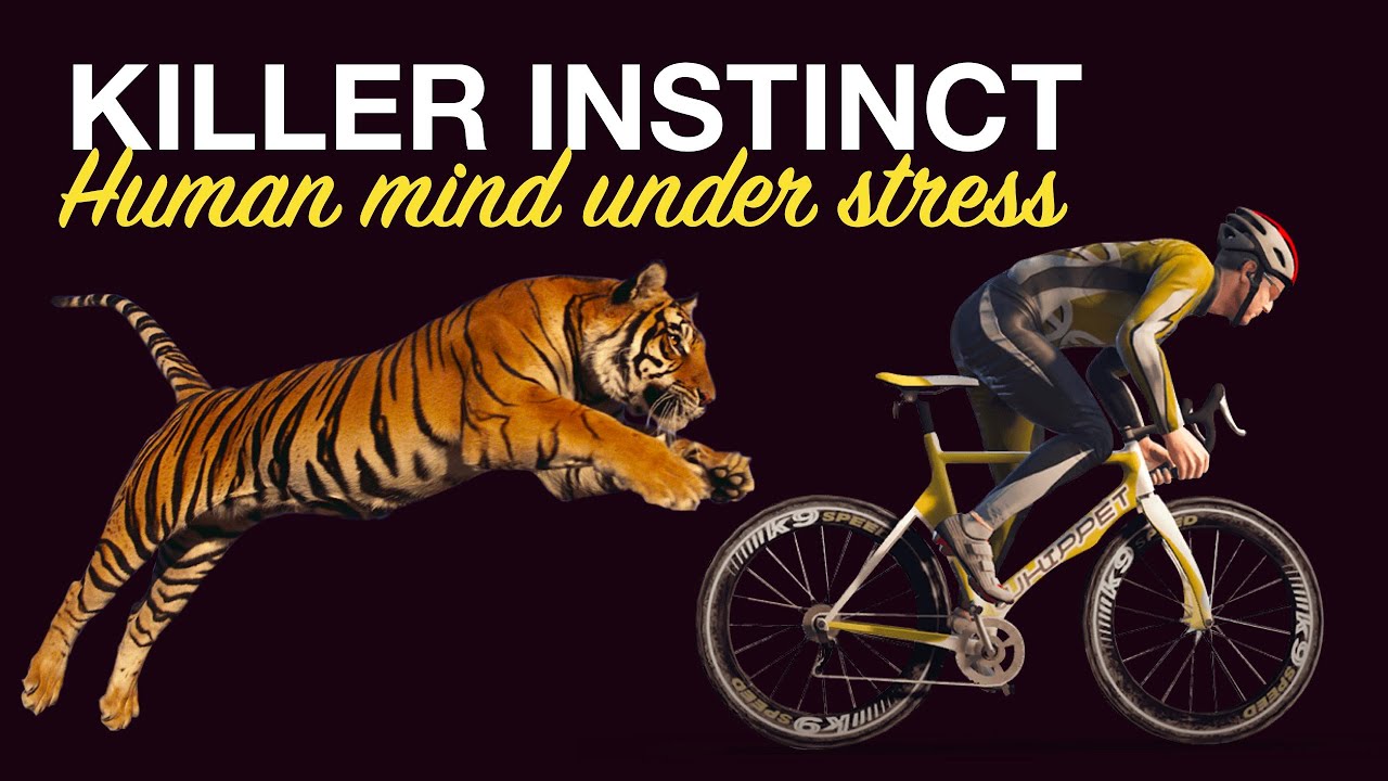 The Mind under STRESS - By ouss Zoglami