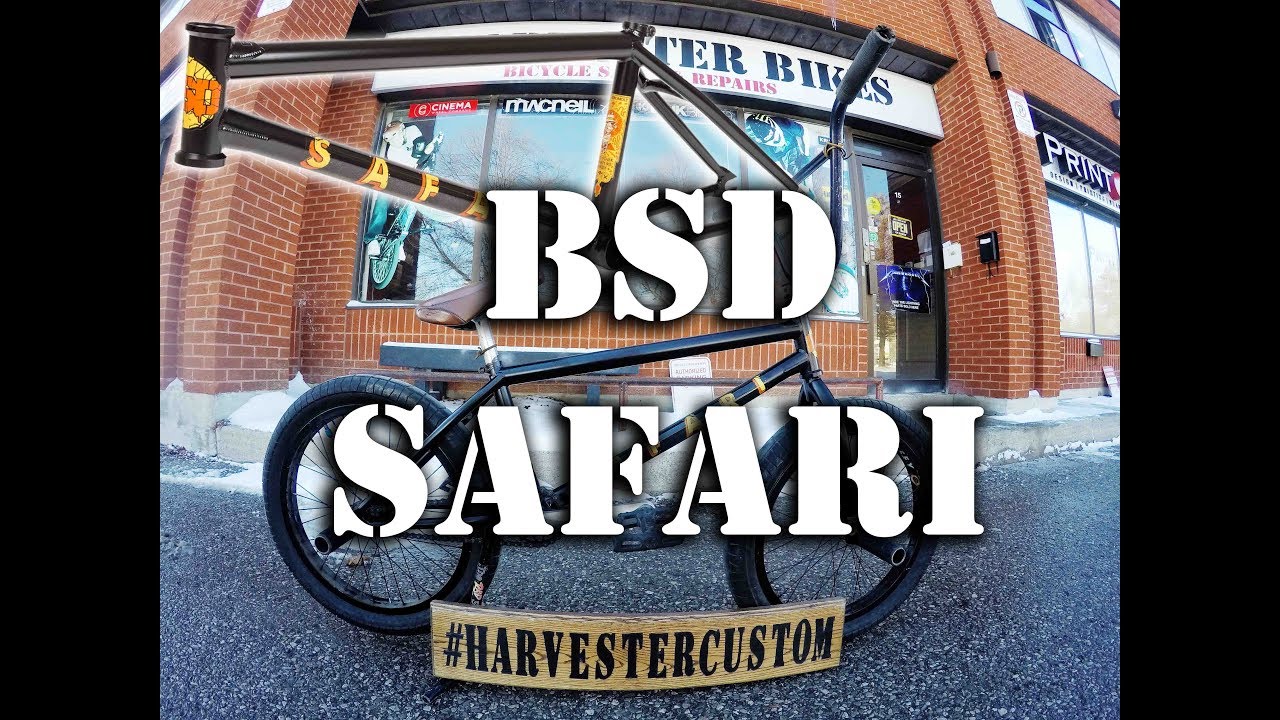 BSD Safari 