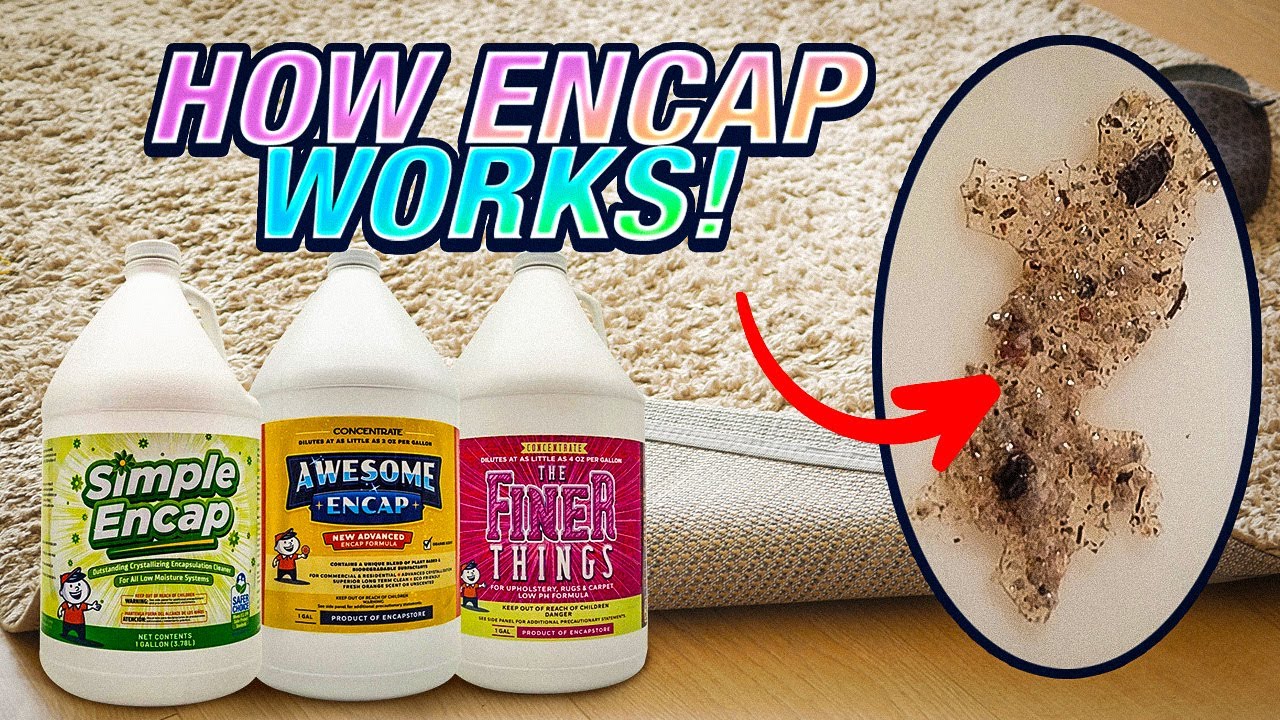 Understanding the Encap Process: Low Moisture Carpet Cleaning Products Explained (VLM)