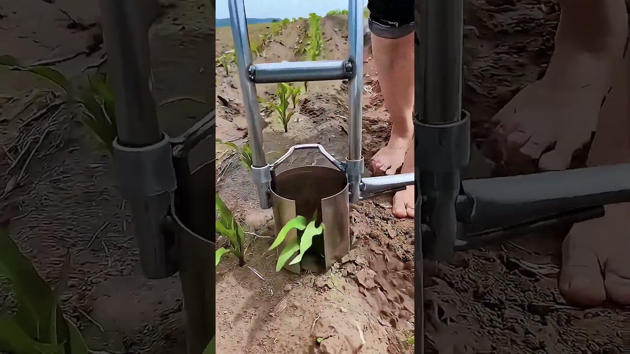Plant Transplanter Tool &ndash; Smart Solution for Seedling Transfer #smartfarming #gardeningtips