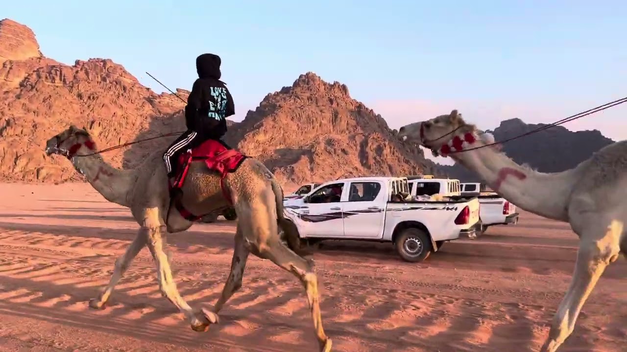 سباق هجن في ميدان سهب المركز الأول بشار لـ مسلم عطالله انشاري