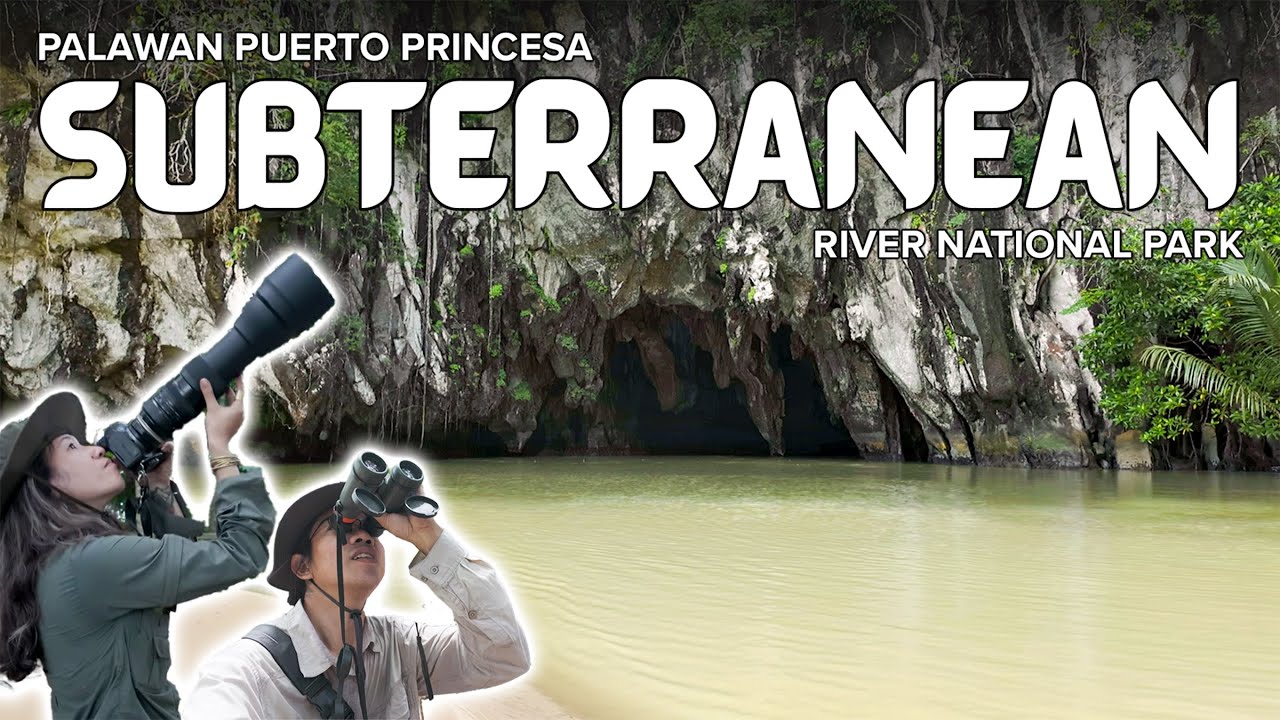 WILDLIFE ENCOUNTERS: Puerto Princesa Underground River