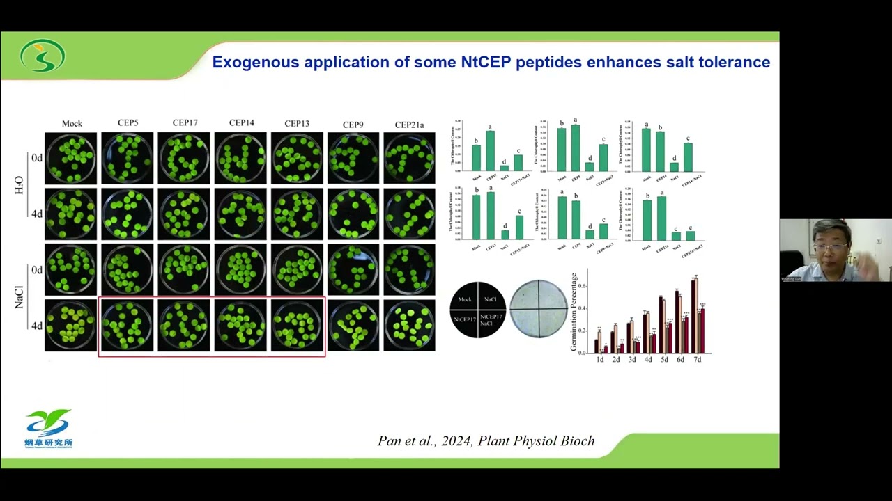 Identification of CEP and CLE peptides encoded by the tobacco(Nicotiana tabacum) genome and