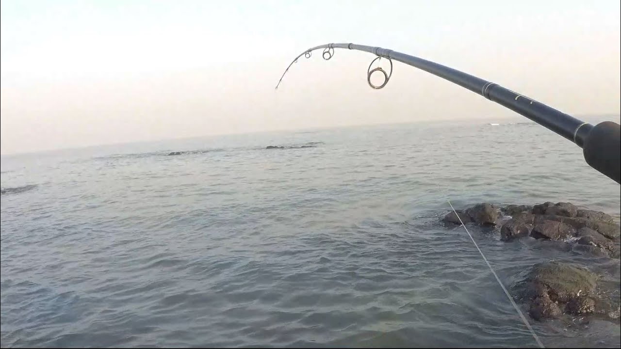 Exploring a New Fishing Spot Near Me in Mumbai.. मजा आया