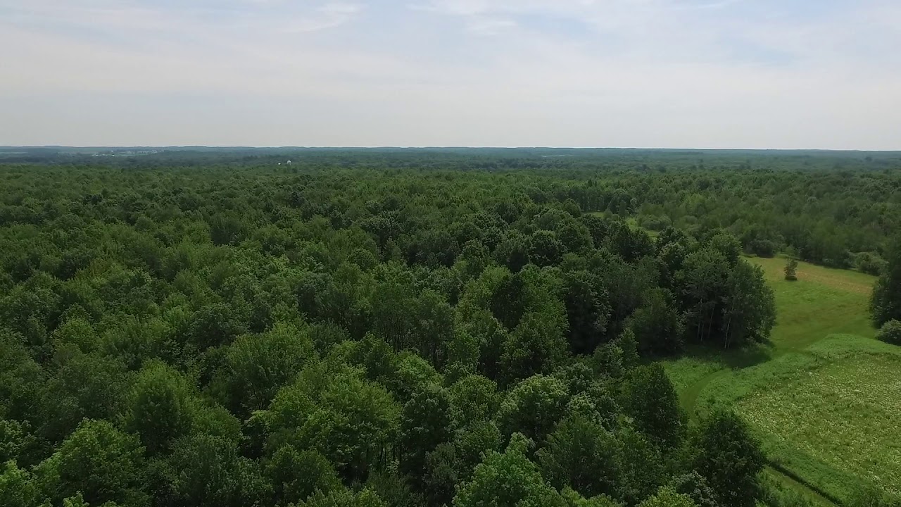 61.89 Acres Clubhouse Road