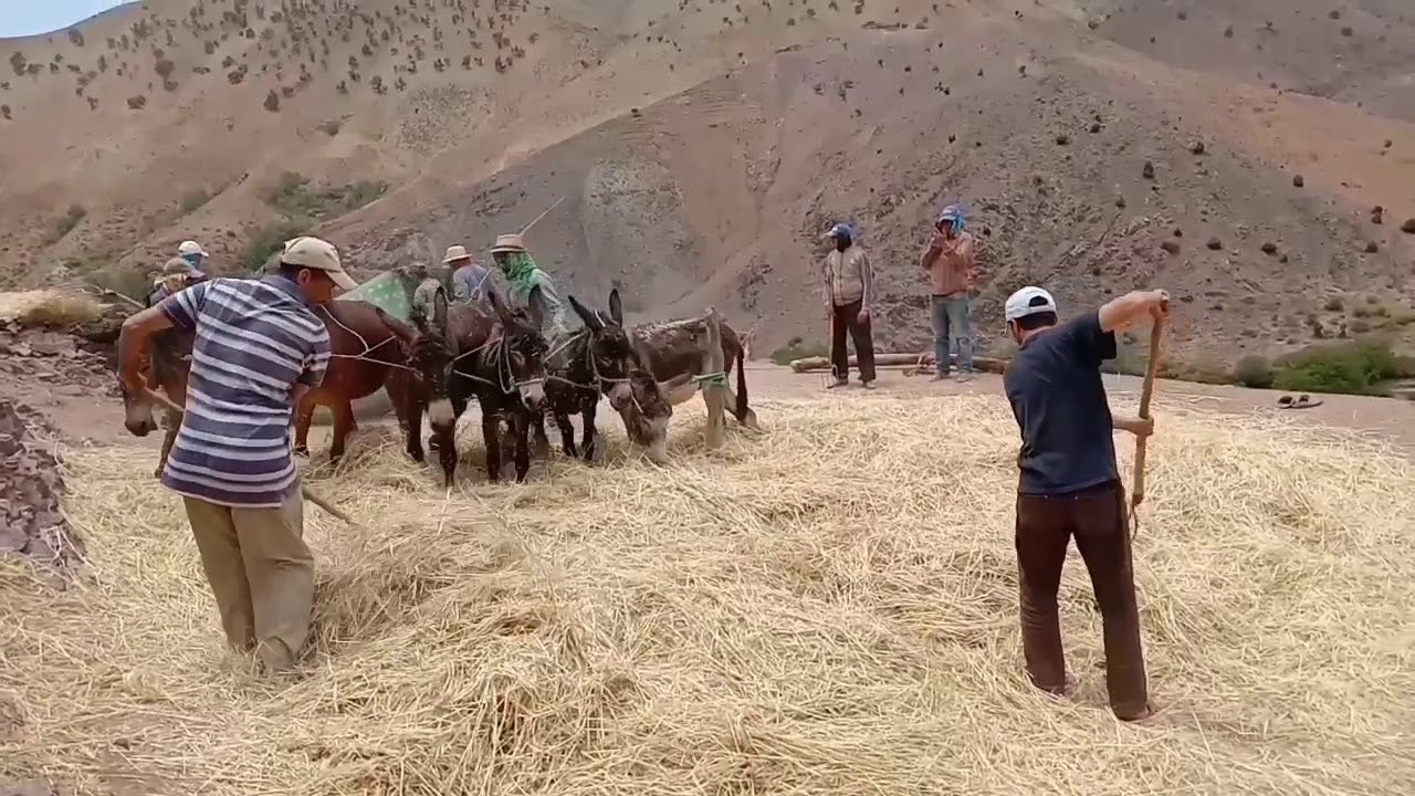 من تقاليدنا العريقة ( روااا...)