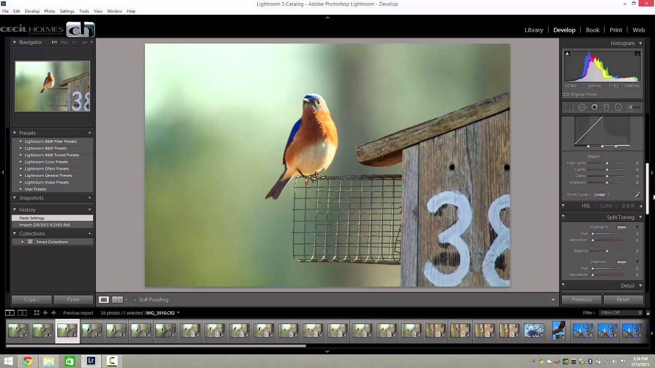 Lightroom Quick Tip Thursday