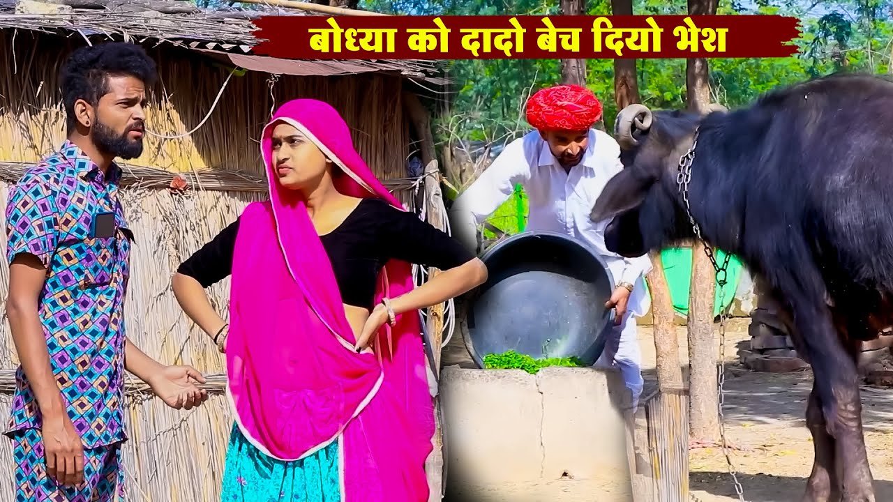 बोध्या को दादो बेच दियो भेश || New Rajasthani Superhit Comedy 2026 || Bodhya Manglya Ki Comedy