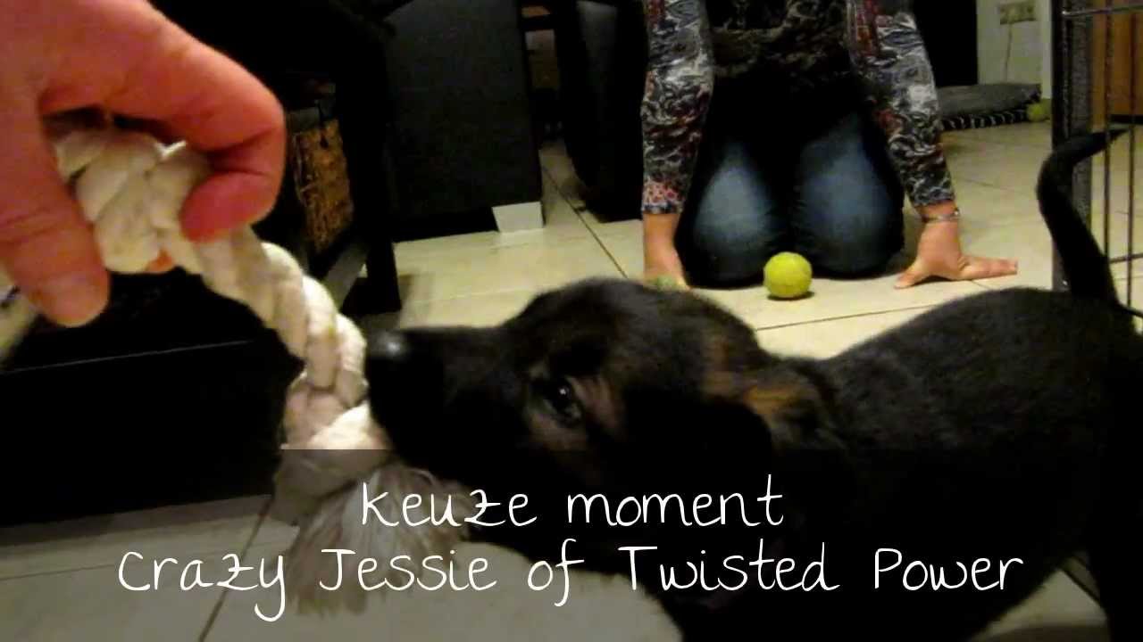 Keuze moment - Crazy Jessie of Twisted Power
