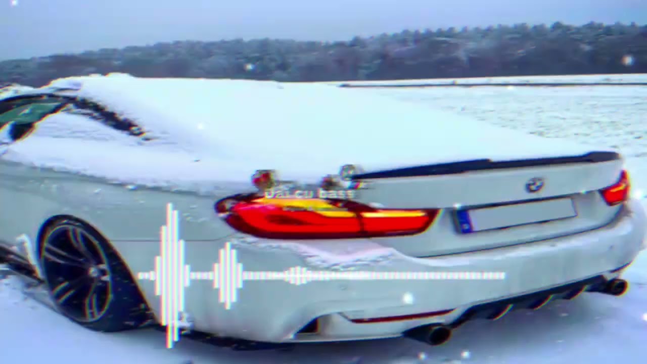 Bote da ce fel dă din bass 