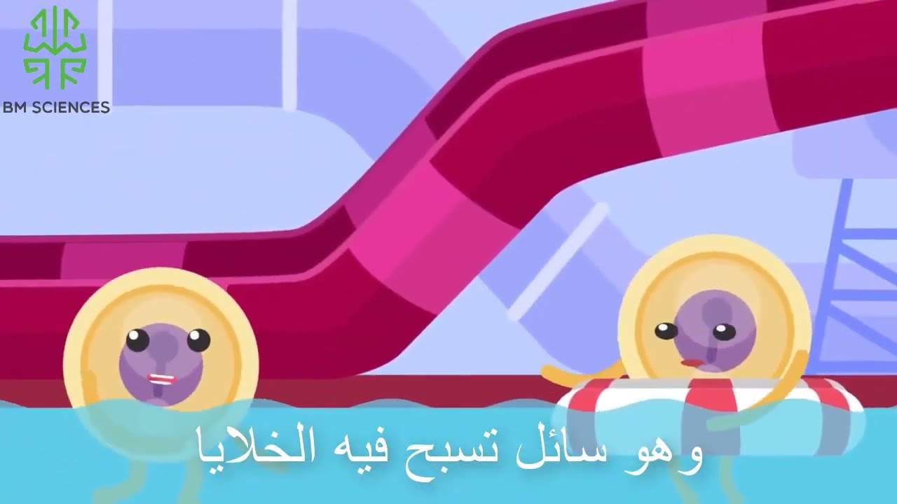 مكونات الوسط الداخلي l الرابعة متوسط l علوم الطبيعة والحياة