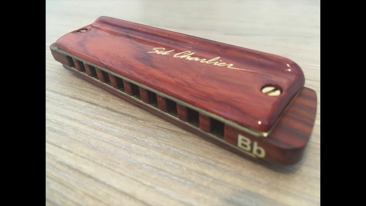 Nobody Knows the Trouble I've Seen - Harmonica